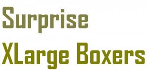 Surprise Box 3 XLarge Boxer